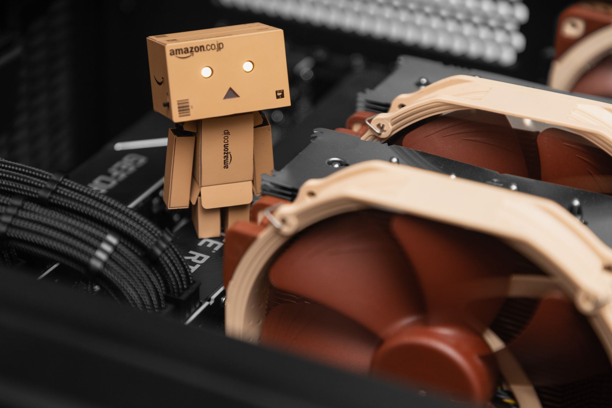 What’s That Little Box Robot in Your Photos? It’s Danbo!