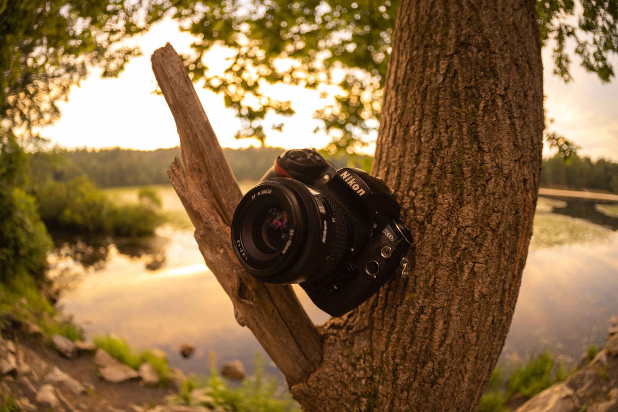 $130 Nikon D300s & AF 35-70 F/3.3-4.5 Budget Camera Review